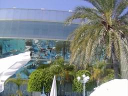 Resize of P21010012.JPG